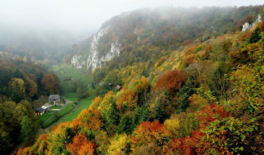 Ojcow National Park: Full-Day Trip from Krakow - Price and Value at $153 Per Person