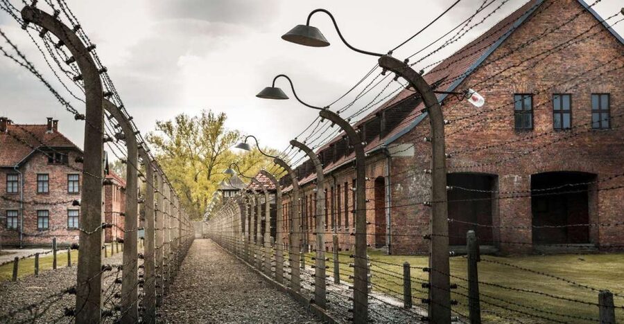Prague: Tour to Auschwitz Birkenau - Is the private group format worth it for this kind of tour?