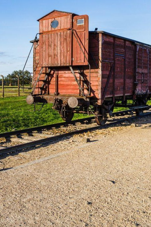 Prague: Tour to Auschwitz Birkenau - Lunch and the short free window: plan for limited time