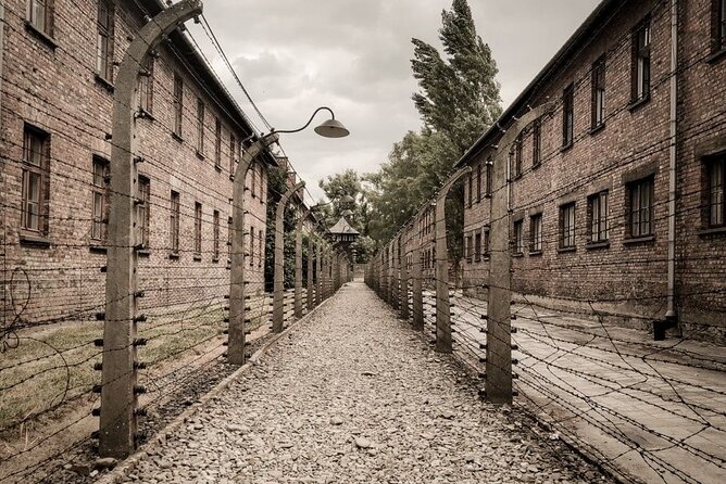Private Guided Tour to Auschwitz & Birkenau from Krakow - What the guides do, and how to avoid the rushed feeling