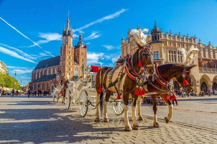 Private Krakow Tour: St. Mary’s, Cloth Hall & More - St Mary’s Basilica Ticket and the Veit Stoss Altar Moment