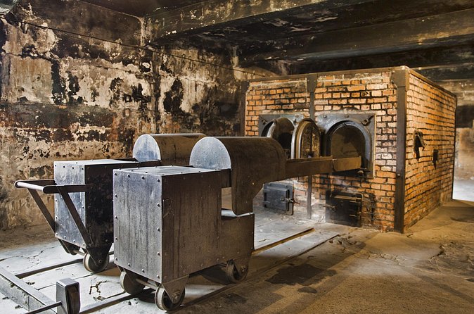 Private Tour to Auschwitz Birkenau & Salt Mine in One Day - Who should book this tour, and who might want a different plan