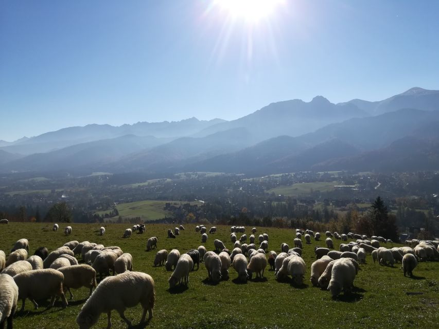 Rafting on Dunajec & Zakopane Tour – Day Trip from Krakow - Dunajec rafting: calm water, big views, and enough time to breathe