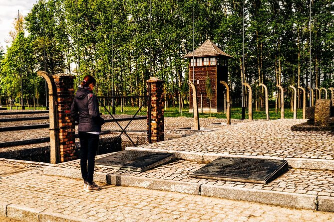 Self-Guided Tour of Auschwitz-Birkenau Museum with Transportation - Who this tour fits best, and who should consider an alternative