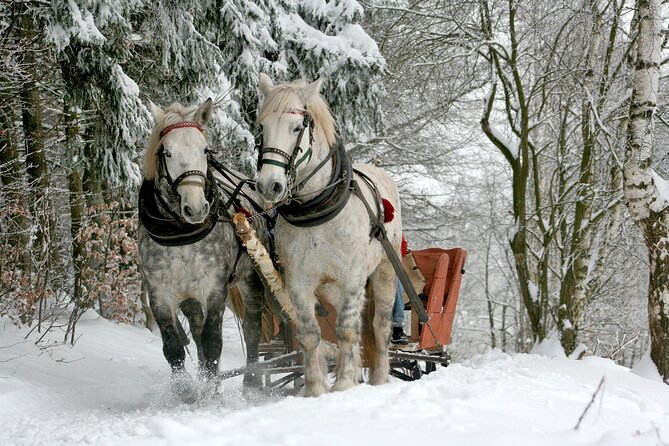 Sleigh Ride & Bonfire in Zakopane with Funicular - Private Trip - Key highlights worth planning around