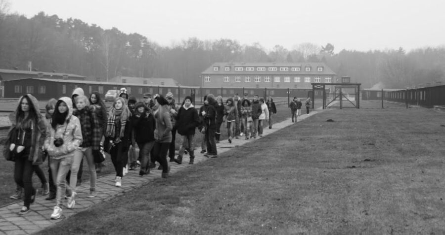 Stutthof Concentration Camp Half-Day Private Tour - Museum Orientation: What the Old and New Quarters Teach You