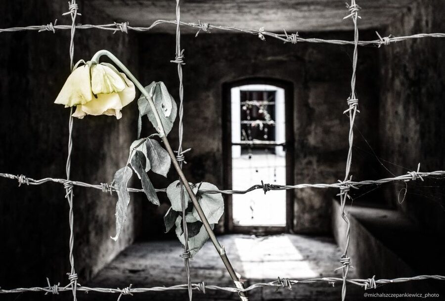Stutthof Concentration Camp Half-Day Private Tour - Gas Chambers and Crematorium: What to Expect and How to Handle It