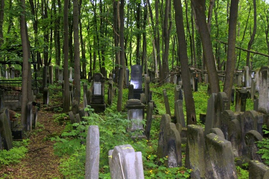 Warsaw Jewish Heritage Private Tour in Retro Fiat - Ghetto Heroes Monument, plus the option to see the Museum of Polish Jews