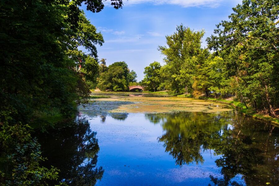 Warsaw Private Wilanow Palace & Garden Tour - Who should book this Wilanów Palace tour