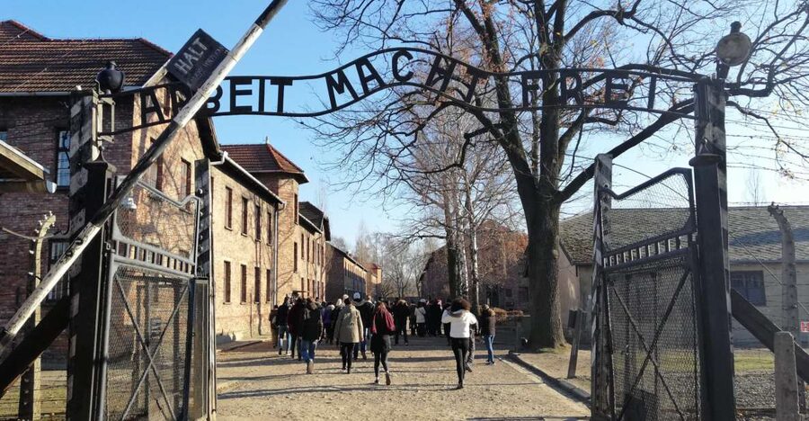 Warsaw: Tour to Krakow and Auschwitz by Train with Pickup - Should you book this tour?