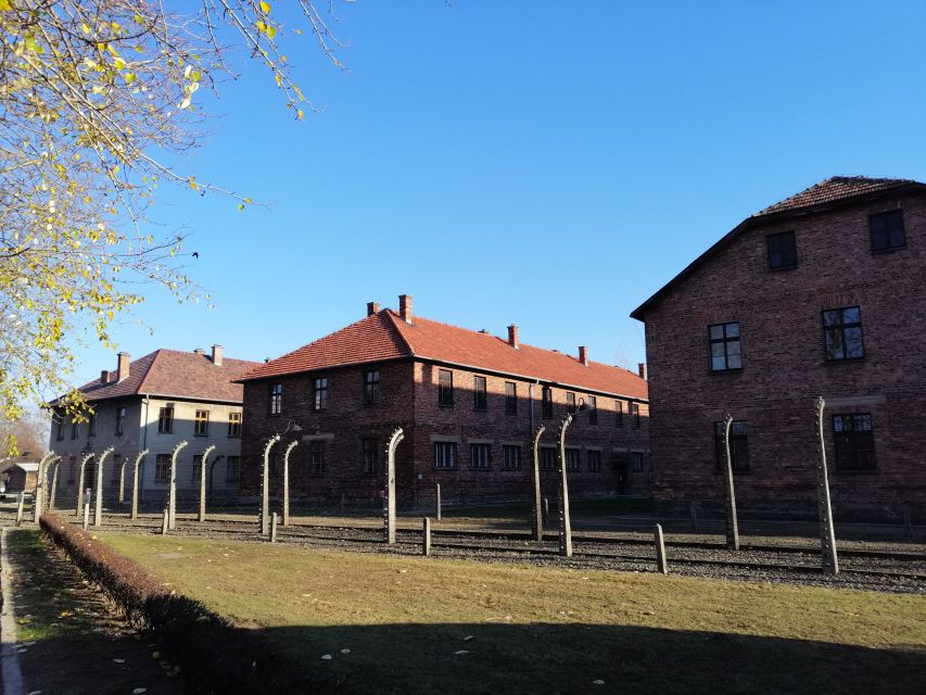 Warsaw: Tour to Krakow and Auschwitz by Train with Pickup - Comfort and logistics, the stuff that makes or breaks a long day