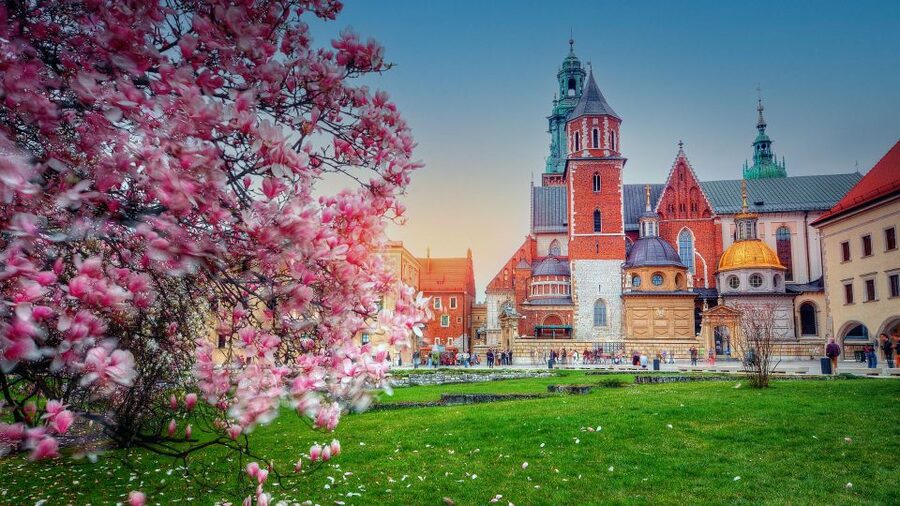 Wawel Hill Tour with Audio Guide - Key highlights at a glance