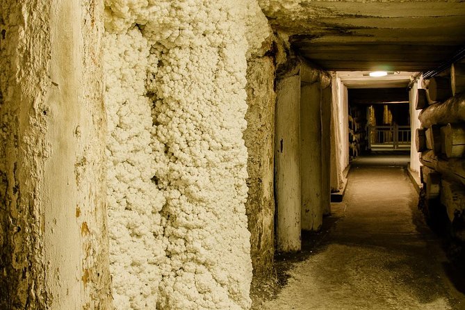 Wieliczka Salt Mine from Krakow, Guided Half-Day Tour with Private Transport - Price at $186.53: When This Private Format Feels Like Value