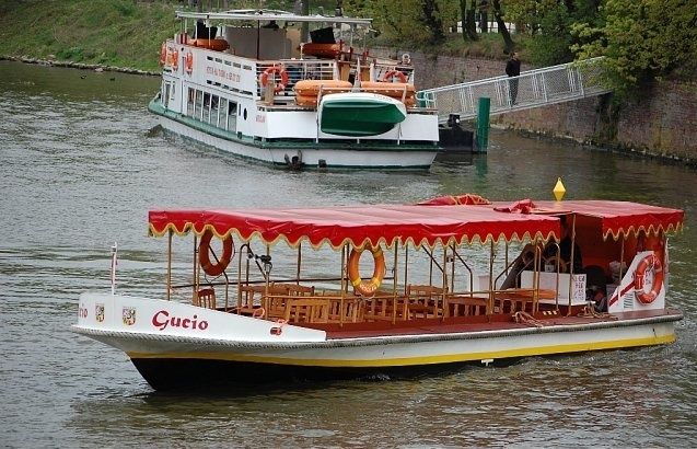 Wrocław: city walk with a professional guide and cruise - Market Square (Rynek) first, then the story of how the city works