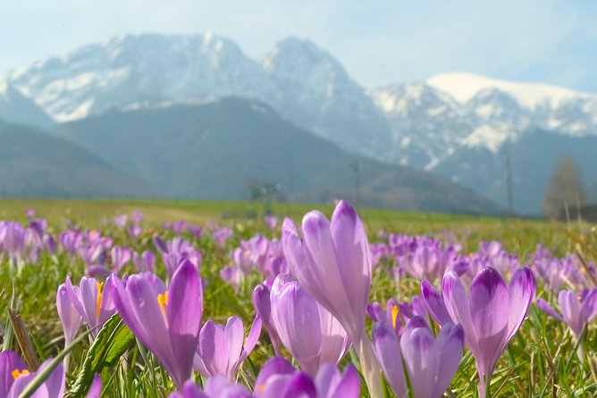 Zakopane and Tatras Mountains Day Tour from Krakow - What you pay for: value at $125.51 and what to plan for