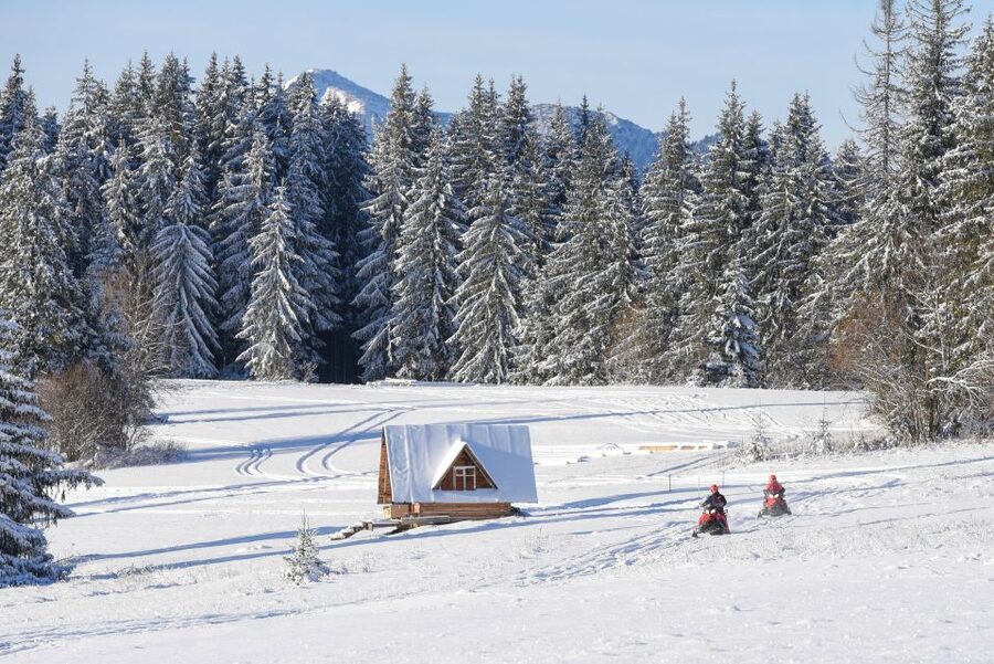 Zakopane: Snowmobiles Expedition and Optional Bonfire - Who Should Book This Snowmobile Expedition (and Who Should Skip It)