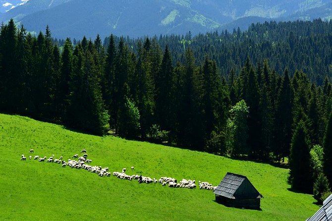 Zakopane Tour from Krakow – Highland Experience & Stunning Views - Stop 1 in Chocholów: Wooden Houses and Old-School Polish Charm